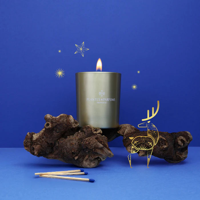 Bougie parfumée Feu de cheminée 180g Plantes & Parfums