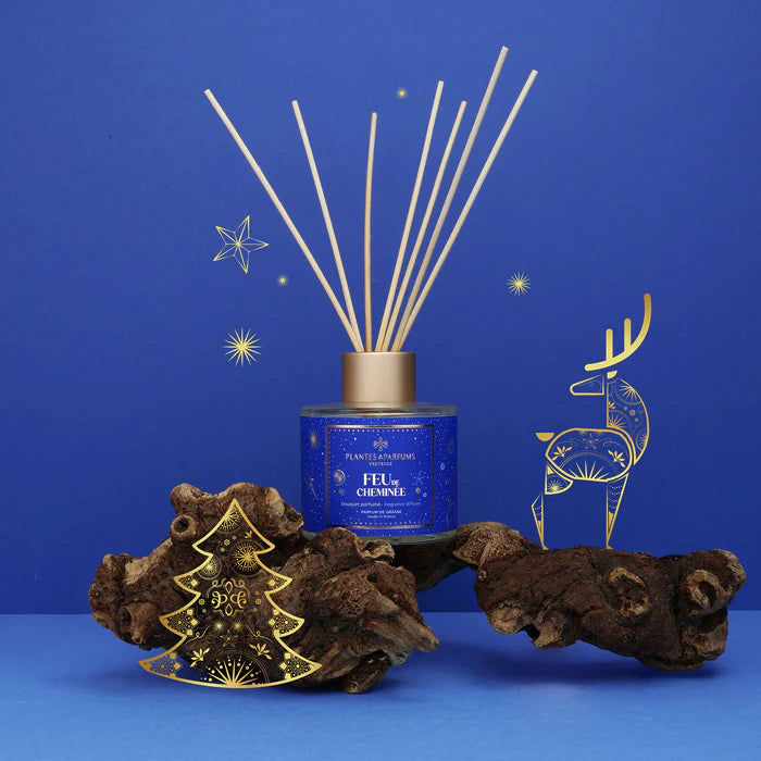 Bouquet parfumé Feu de cheminée 100ml Plantes & Parfums