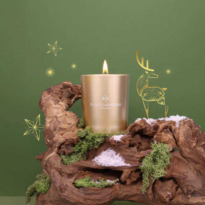 Bougie parfumée Sapin givré 180g Plantes & Parfums