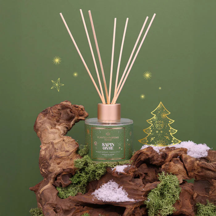 Bouquet parfumé Sapin Givré 100ml Plantes & Parfums