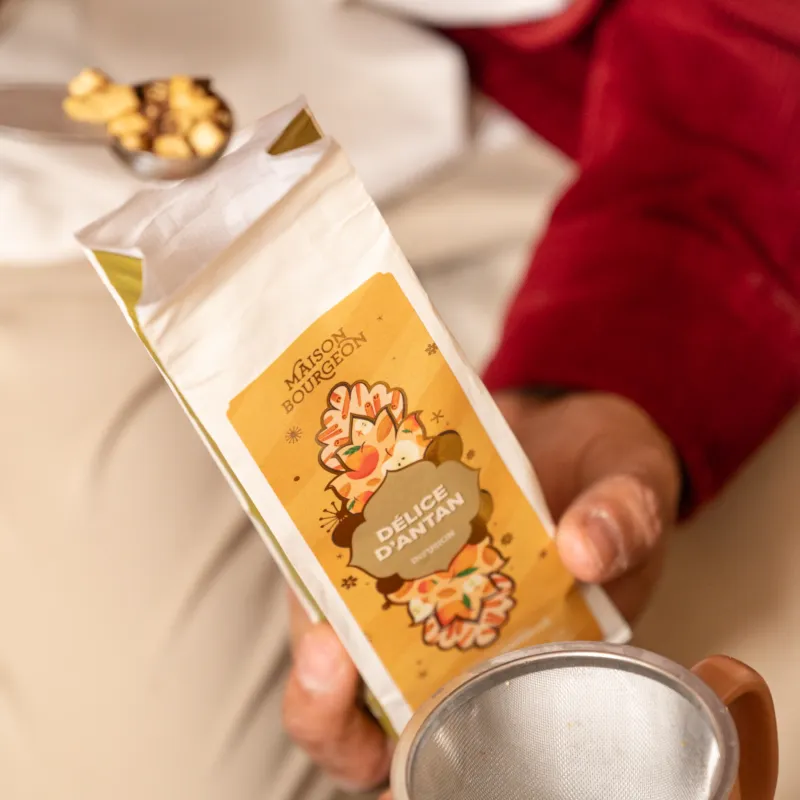 Infusion de Noël pomme cannelle - Délice d’Antan